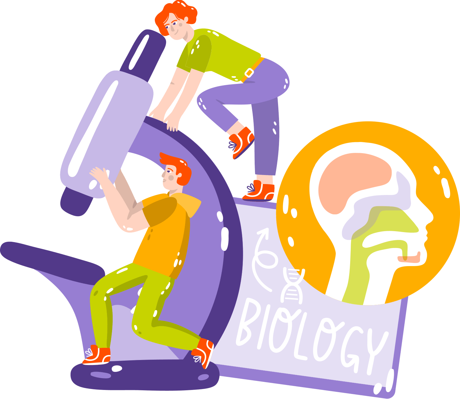 Illustration biologie